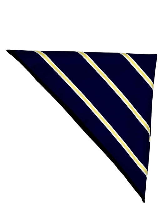 Navy & Golden Yellow Pocket Square