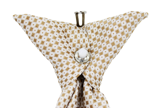Beige Elegance Tie & Pocket Square Set